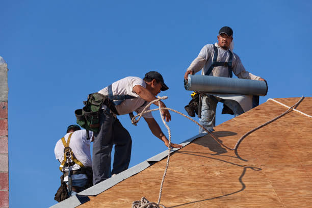 Best New Roof Installation  in Murillo, TX