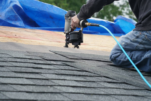 Best Storm Damage Roof Repair  in Murillo, TX