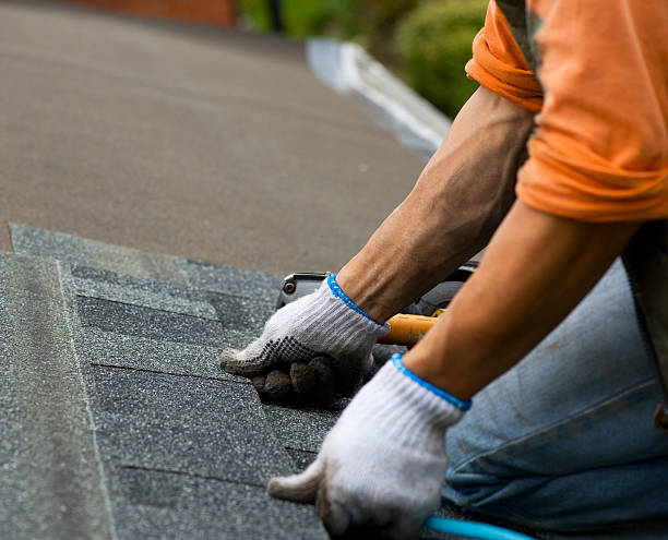 Best Metal Roofing Contractor  in Murillo, TX
